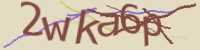 CAPTCHA Image