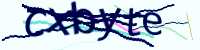 CAPTCHA Image